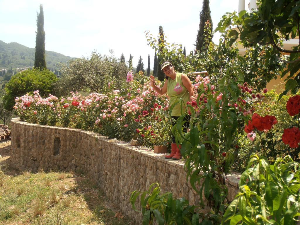 Ferienwohnung Linda House Corfu Gastouri  Zimmer foto