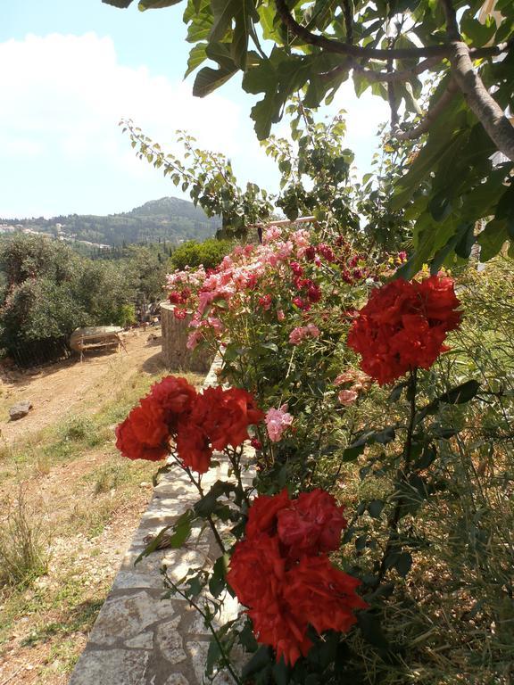 Ferienwohnung Linda House Corfu Gastouri  Zimmer foto