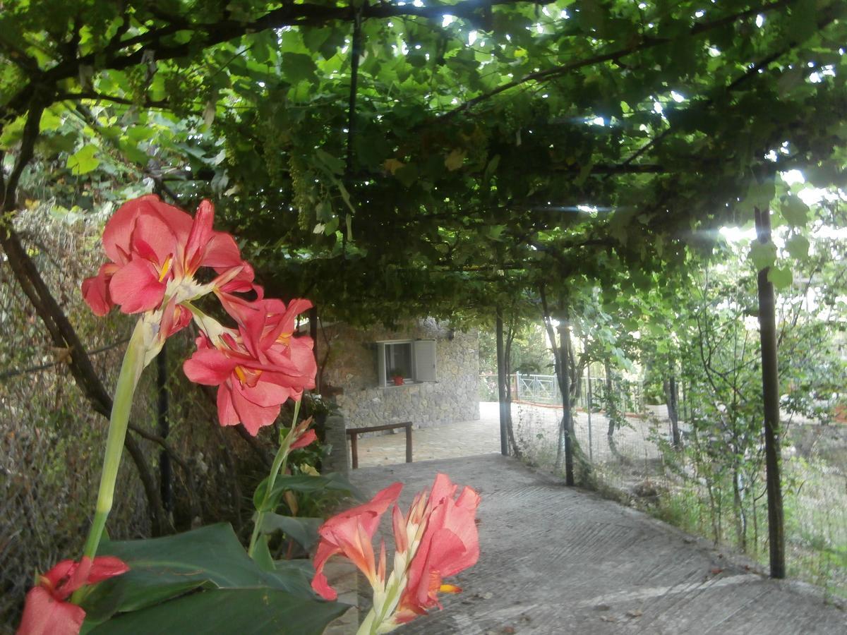 Ferienwohnung Linda House Corfu Gastouri  Exterior foto